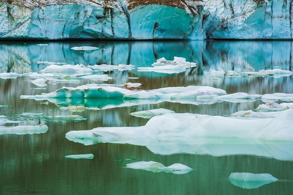 Bishop, Russ 아티스트의 Icebergs on glacial meltwater under Mount Edith Cavell-Jasper National Park-Alberta-Canada작품입니다.